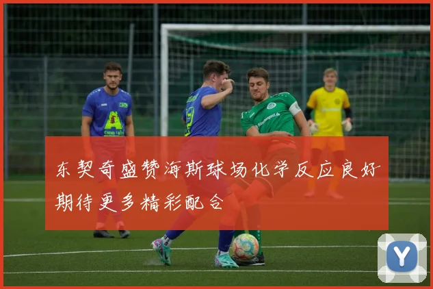 东契奇盛赞海斯球场化学反应良好期待更多精彩配合