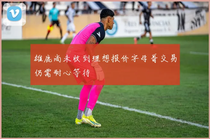 雄鹿尚未收到理想报价字母哥交易仍需耐心等待