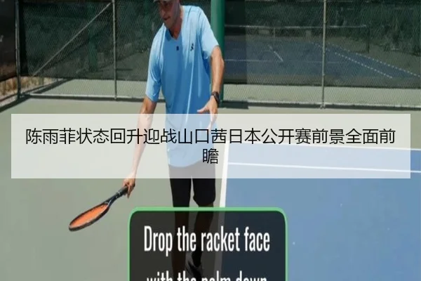 陈雨菲状态回升迎战山口茜日本公开赛前景全面前瞻 | ninegame